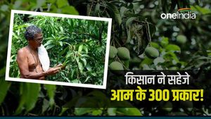 300 Mango Variety का संरक्षण करने वाले केरल के शंकरन, विलुप्त हो रही प्रजातियों को सहेज रहे किसान