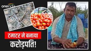 Tomato Farmer ने अपने टैलेंट का लोहा मनवाया, 45 दिनों में टमाटर बेचकर करोड़पति बना