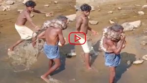 ...जब अजगर लिपट गया गले से, फूलने लगी सांसें, मौत के मुंह क्या निकल पाया शख्स? Video