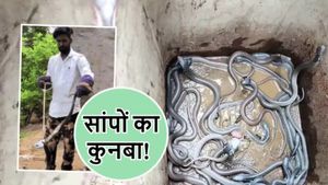 OMG! कमरे की फर्श के नीचे सांपों का कुनबा, एक साथ निकले 25 बच्चे, नाग फरार-नागिन लगी हाथ