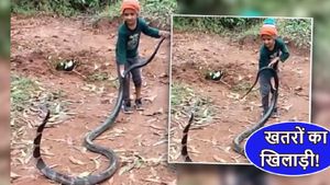 OMG! 6 फीट के किंग कोबरा बना 6 साल के बच्चे का खिलौना, VIDEO में दिखा ये नजारा