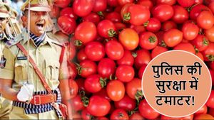 Tomato Price Hike: जब 22 लाख का टमाटर हाईवे पर बिखरा, अचानक उमड़ी भीड़, पुलिस को देनी पड़ी सुरक्षा