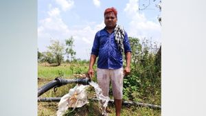 छत्तीसगढ़ सरकार की शैलो ट्यूबवेल योजना का लाभ उठा रहे हैं किसान
