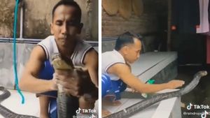 Snake Video: शख्स ने कोबरा को लगाया शैंपू और पानी से नहलाया, देखें क्या हुआ उसका हाल?