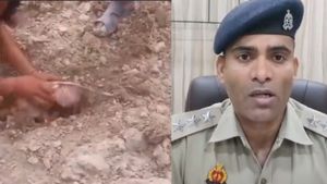 'ये मोरक्को नहीं बल्कि...' मलबे में दबे बच्चे के चीखने की आवाज सुन इकट्ठा हुए लोग, जानें वायरल ट्वीट का सच