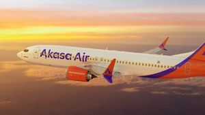Akasa Air को बड़ा झटका! अचानक 43 पायलटों का रिजाइन, 600-700 फ्लाइट्स कम करने की तैयारी