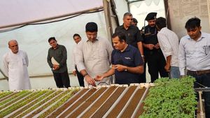 मुनाफे वाली खेती की तरफ बढ़ रहा हरियाणा का किसान: डिप्टी सीएम दुष्यंत चौटाला