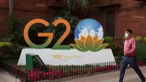 G20 Summit: भारत के लिए महत्वपूर्ण अवसर