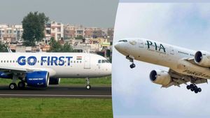Airlines in Crisis: दुनियाभर में एयरलाइंस क्यों हो रही हैं फेल?