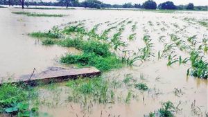 बाढ़ से खराब हुई फसलों का मुआवजा सीधे बैंक में डालने का पंजाब सरकार ने दिया आदेश