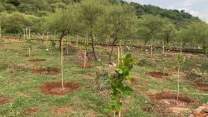 सीएम केसीआर बोले-  तेलंगाना में जंगलों को बहाल करने में 'हरिता हरम' योजना आश्‍चर्यजनक परिणाम दे रही 