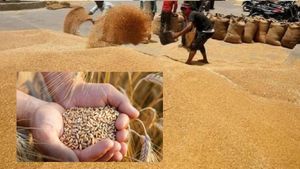 जल्द सस्ते दाम में मिलेगा गेहूं, सरकार ने स्टॉक लिमिट को घटाया