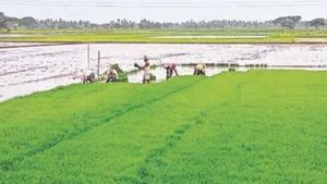 ओडिशा की छेलीगाड़ा मध्यम सिंचाई परियोजना को केंद्र से मिली चरण-द्वितीय की मंजूरी