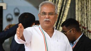 छत्तीसगढ़: गोवर्धन पूजा पर सार्वजनिक अवकाश घोषित, भूपेश बघेल सरकार की बड़ी घोषणा