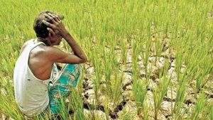 आंध्र प्रदेश: भूजल घटने और कम बारिश से किसान बेहद परेशान, रबी को लेकर सताने लगी चिंता
