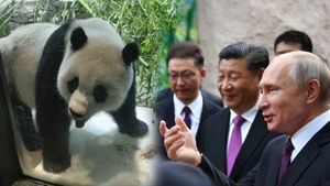 Chinese Panda: चीन की \
