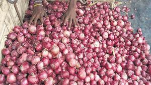 Onion Price: आंसू ला रहा प्याज, 57 प्रतिशत बढ़ी कीमतें, अब केंद्र ने उठाया बड़ा कदम 