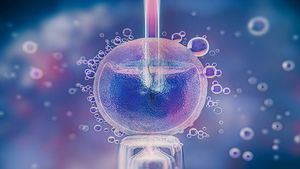 तेलंगाना सरकार ने पहली सरकारी IVF सुविधा की शुरू, निःसंतान दंपतियों के सपने होगें साकार 