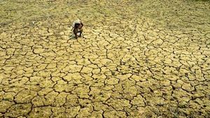 Water Crisis: वह दिन दूर नहीं जब खेत को नहीं मिलेगा पानी 