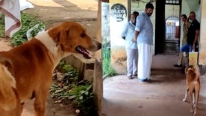 मालिक की मौत के बाद चार महीने से अस्पताल के चक्कर काट रहा कुत्ता, VIDEO देख निकल पड़ेंगे आंसू