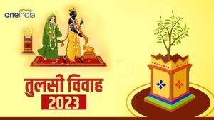 Tulsi Vivah 2023 Date: 23 या 24 नवंबर कब है तुलसी विवाह?  जानिए मुहूर्त और महत्व