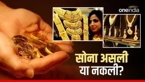 Dhanteras 2023: पानी, चुंबक... से चेक कीजिए सोना असली या नकली?  धनतरेस की शॉपिंग से पहले जानें ये बातें