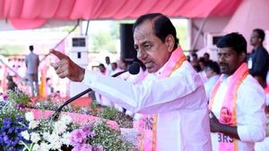तेलंगाना चुनाव: केसीआर की लहर के बीच सिरसिल्ला बुनकरों की अधिक सरकारी आर्डर और बिजली सब्सिडी की है डिमांड 