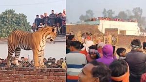यूपी के एक गांव में घुस आया बाघ, गुरुद्वारे की दीवार पर फरमाने लगा आराम, वायरल हुआ VIDEO