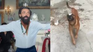 'लॉर्ड डॉगी' ने बॉबी देओल के गाने पर शराब रखकर किया डांस, कुत्ते का VIDEO देख लोगों की छूटी हंसी