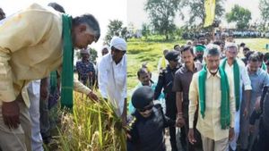नायडू ने चक्रवात मिचौंग के कारण फसल के नुकसान के लिए CM की अक्षमता को ठहराया जिम्मेदार