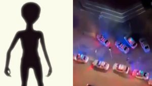 मियामी की सड़कों पर दिखा 10 फुट का एलियन? खबर मिलते ही मॉल के बाहर लोगों में मच गई भगदड़ 