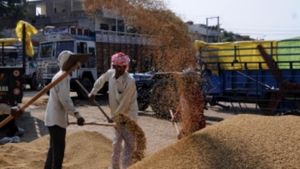 ओडिशा के किसान आंध्र प्रदेश के खरीदारों को MSP से कम कीमत पर धान बेचने को मजबूर