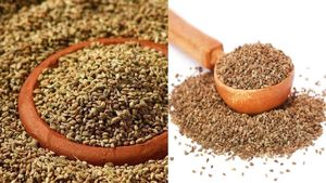 Ajwain Health Benefits: पेट की समस्या के लिए रामबाण है अजवाइन, जान लें ये 5 गजब के फायदे
