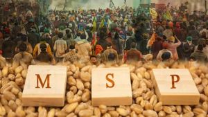MSP Guarantee: एमएसपी की गारंटी से ही संभव होगा गरीबी उन्मूलन  