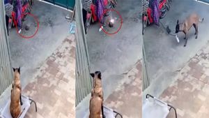 Pet Dog की समझदारी से टला बड़ा हादसा, आग लगने के बाद ऐसे बचाई पूरी परिवार की जान, हैरान कर देगा Video