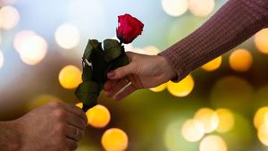 Valentine’s Day 2024: इस वैलेंटाइन पार्टनर को देना चाहते हैं गुलाब, जानें किस रंग का क्या होता है मतलब? 