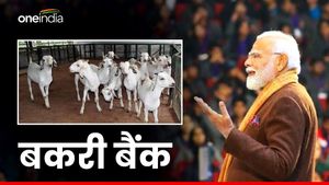 जानें क्या होता है बकरी बैंक जिसकी पीएम मोदी ने ‘मन की बात’में की तारीफ 