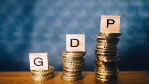 GDP Growth: जीडीपी के चमकदार आंकड़ों के बीच उभरती चिंताएं