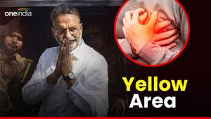 मुख्तार अंसारी के हार्ट में मिला था 'येलो एरिया', जानिए क्या होता है ये और कैसे पहुंचाता है नुकसान?