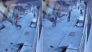 आवारा कुत्ते न छोटी सी बच्ची पर किया हमला, वायरल Video देख रूह कांप जाएगी