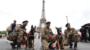 Paris Olympics: पेरिस ओलंपिक में फ़्रांस ने माँगी खूंखार भारतीय डॉग यूनिट, जानें क्या है इन डॉग्स की खासियत
