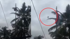 पक्षी की देशभक्ति! झंडा फहराते वक्त हुए कारनामे पर यकीन करना मुश्किल, जानें वायरल Video का सच