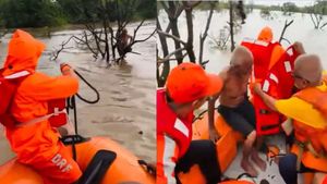  Gujarat Flood: औरंगा नदी में फंसा शख्स, तेज बहाव के बीच पेड़ बना सहारा, Video में देखें कैसे बची जान 