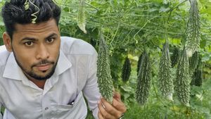 World Organic Day 2024: सामने 'मौत' देखकर आया 'उत्‍तम' आइडिया, बिहार के युवा की सक्‍सेस स्‍टोरी