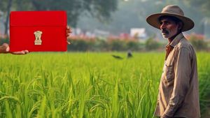 Budget 2025: फसल उत्पादन से लेकर डिजिटलाइजेशन तक, कृषि क्षेत्र को सशक्त बनाने के लिए कैसी योजनाओं की जरूरत?