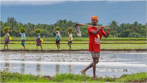 Budget 2025: कैसा होगा इस बार एग्रीकल्चर बजट? एक्सपर्ट से जानिए सरकार किन चीजों पर कर सकती है फोकस
