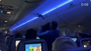 फ्लाइट में परिंदों की बिना टिकट एंट्री, पैसेंजर ने पकड़ने के लिए लगाई छलांग, फिर जो हुआ, सबकी सांसें थम गईं!