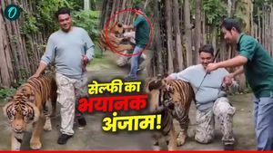 VIDEO: थाईलैंड में बाघ के साथ भारतीय युवक को सेल्फी भारी पड़ी! अचानक पलटा खेल, जानें ऐसा क्या हुआ? 