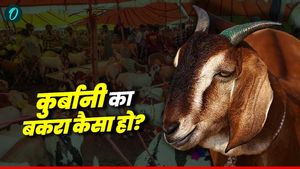 Bakrid 2025: किस बकरे की कुर्बानी बन सकती है कहर की वजह?  खरीदने से पहले जान लें जरूरी बातें