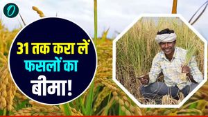 Fasal Bima Yojana: फसल खराब हुई तो पैसा मिलेगा या नहीं? जानिए वो नियम जो हर किसान को जानने चाहिए